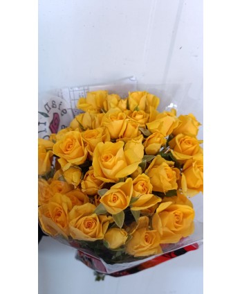 Rosa Spray Amarilla Holand * 10 T.